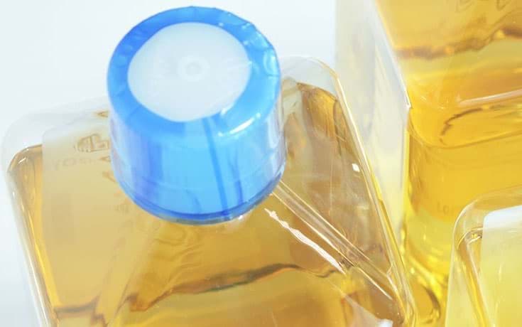Serum free medium Serum free medium